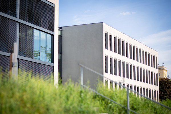 ŠAVŠ vyhlašuje výběrové řízení na zajištění chodu a rozvoj webových stránek