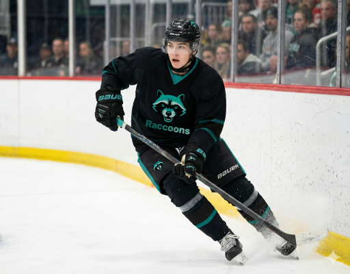 Univerzitní hokejový tým ŠAVŠ Raccoons zvou na Maškarní na ledě!