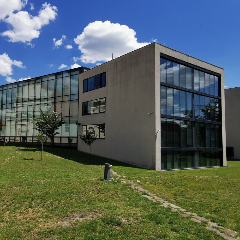 Bachelor's degree programme in Czech