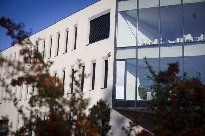 Open Days