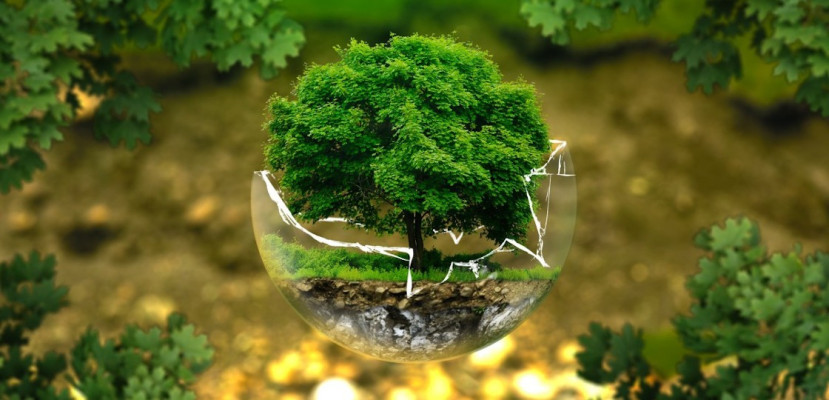 GREENWEEK