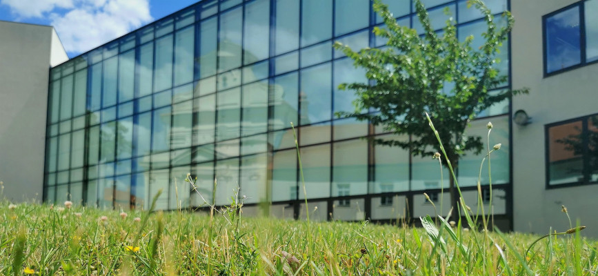 Online Workshop on Embedding the Results of the Feedback from Student Placements
