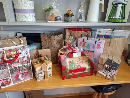 Zaměstnanci a studenti ŠAVŠ plnili vánoční přání